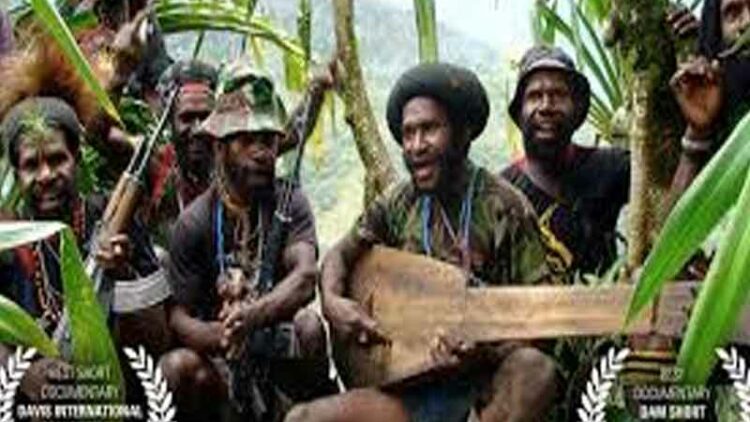 rastafari-tv-watch-interesting-videos-listen-music-forgotten-bird-of-paradis-800×600