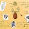 biodegradable-burial-pod-memory-forest-capsula-mundi-3-Optimized